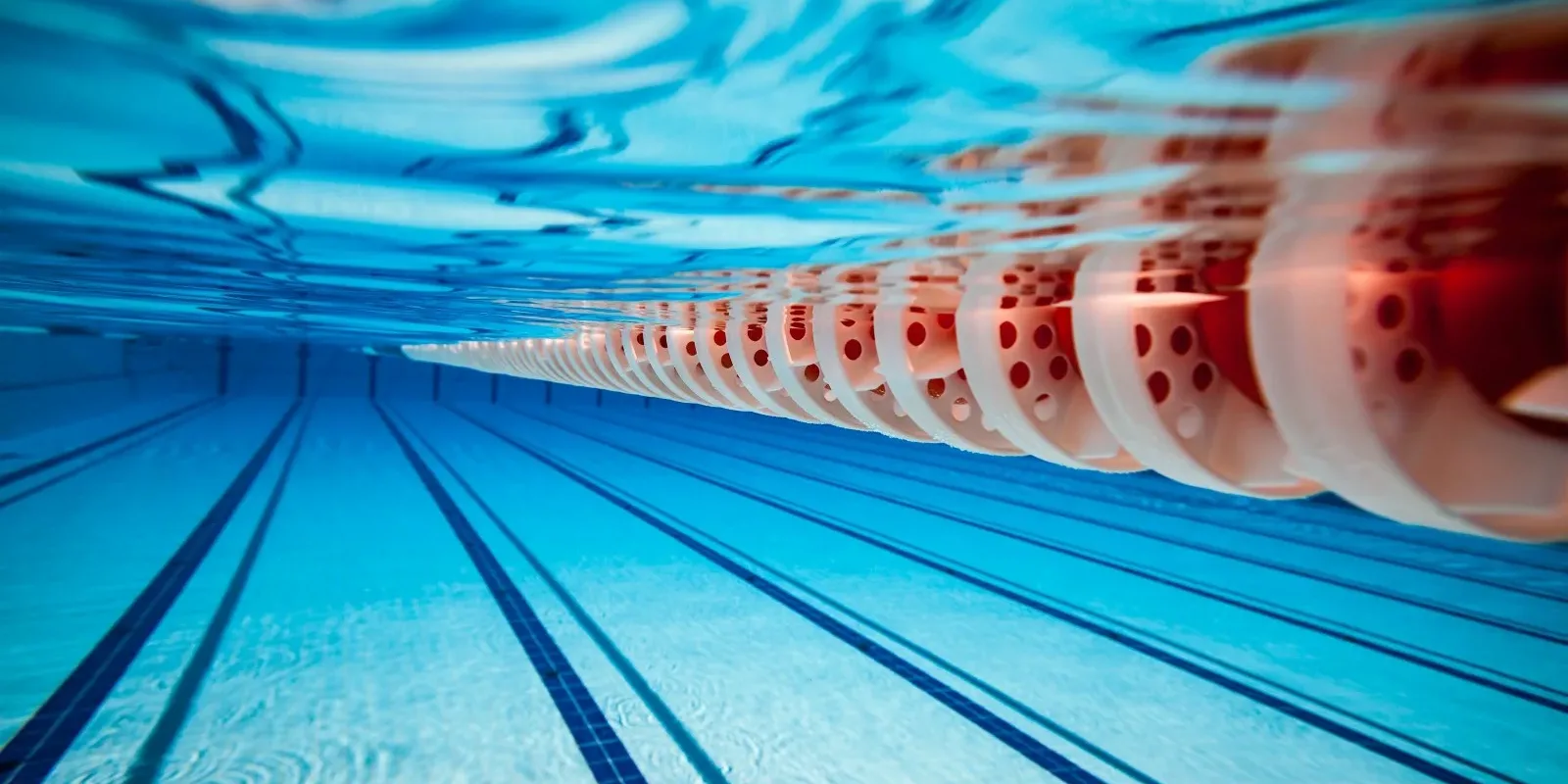 1*LIfKbEhLHlOJpANk_uxbhw