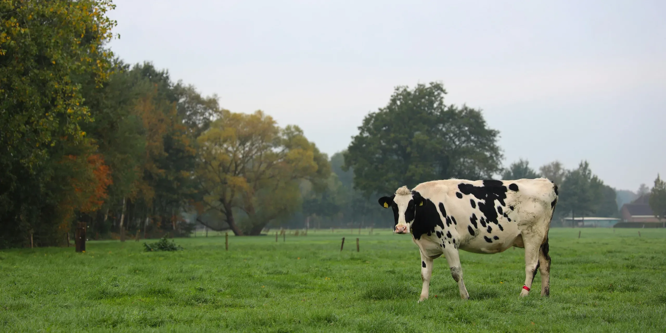 Effects of Methane blog image