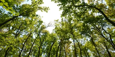 Air Sampling for Industrial Hygiene at Control Equipment Air Sampling for Industrial Hygiene at Control Equipment