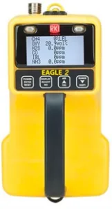 EAGLE II Portable Survey Gas Detector