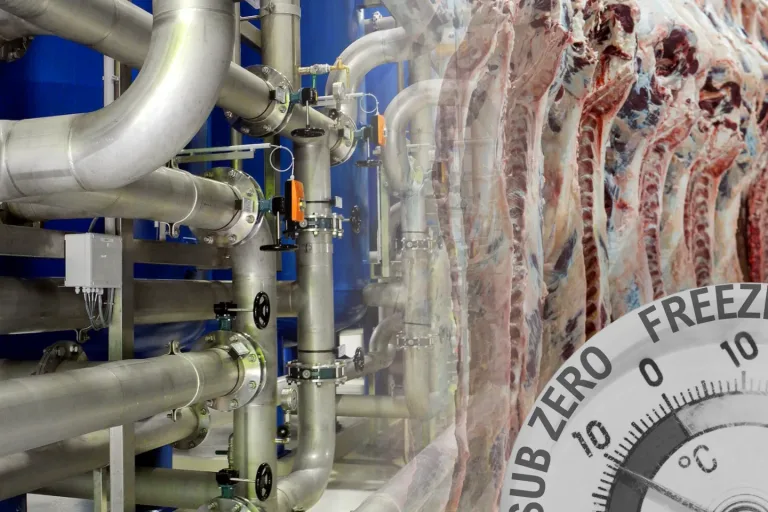 Image for Blog about Preventing ammonia leaks in meat processing plants